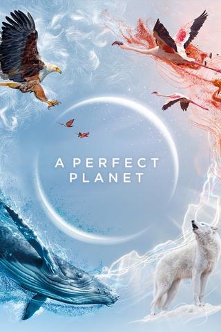 A Perfect Planet - Saison 1