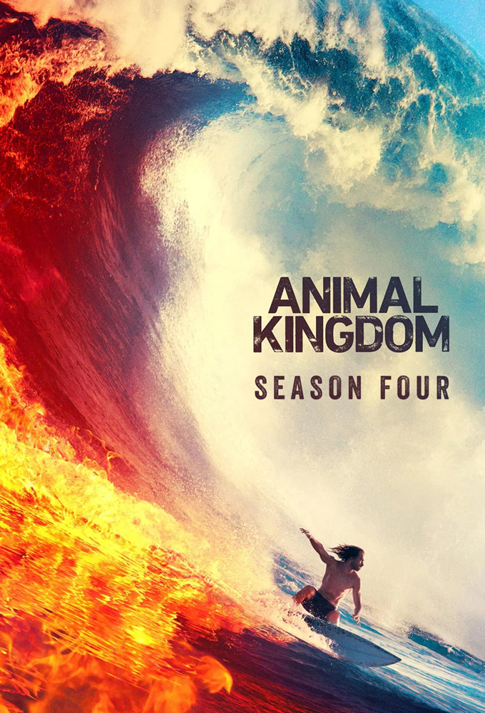 Animal Kingdom - Saison 4