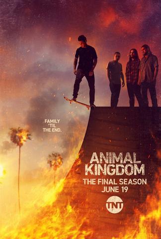 Animal Kingdom - Saison 6