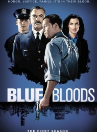 Blue Bloods - Saison 1