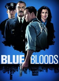 Blue Bloods - Saison 8