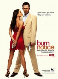 Burn Notice - Saison 2