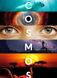 Cosmos : une odyssée à travers l'univers - Saison 1