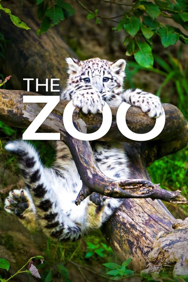 The Zoo - Saison 4
