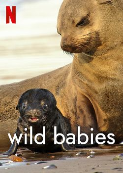 Wild Babies : Petits et Sauvages - Saison 1